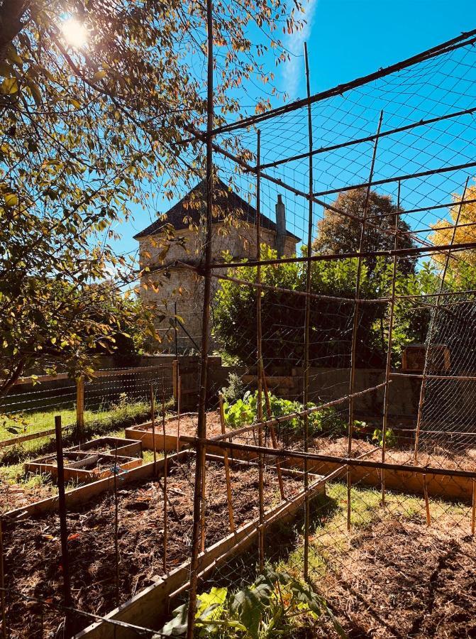 Pool House-L'Hirondelle De Sermizelles- Grand Jardin, Calme Et Nature Aux Portes Du Morvan Exterior photo